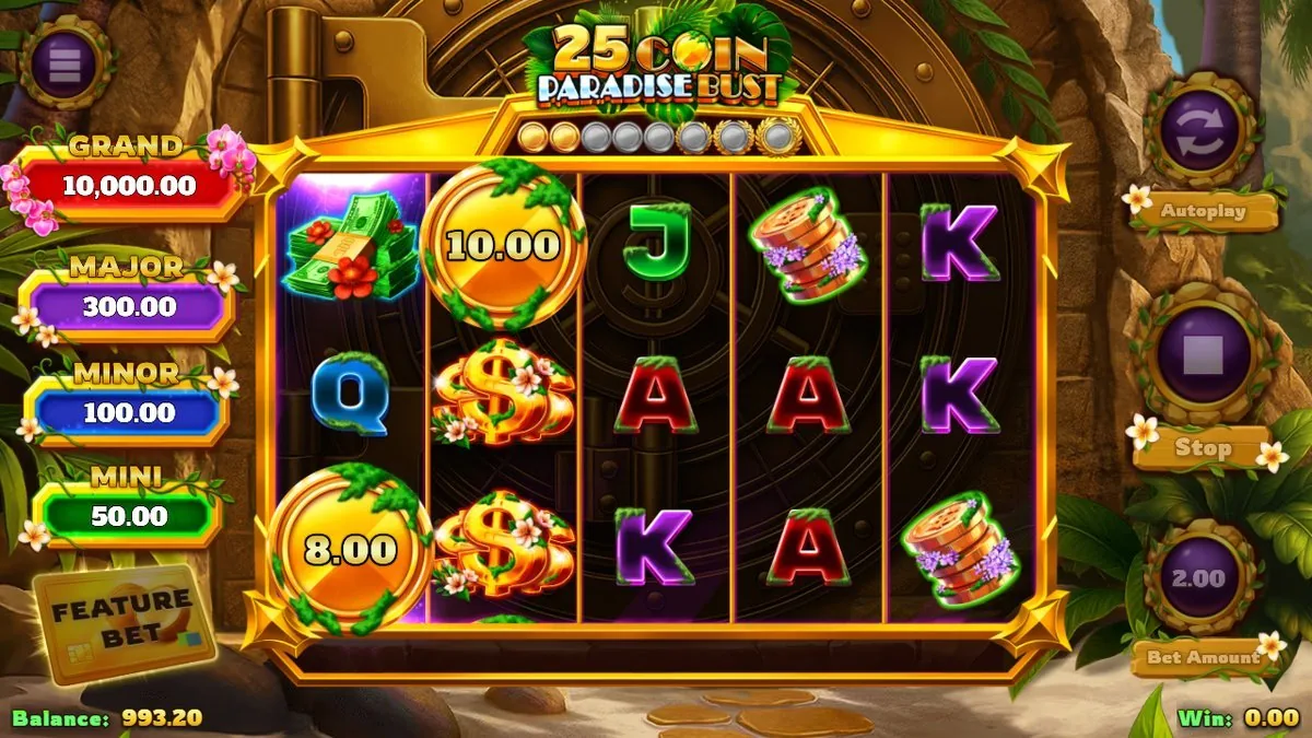 Het basisspel voor de gouden safe-deur: gouden munten van 10,00 en 8,00, geldbundels en dollarzakken tussen de kaartwaarden, met de jackpotladder (GRAND 10.000) links. Saldo 993,20 bij €2,00 inzet.