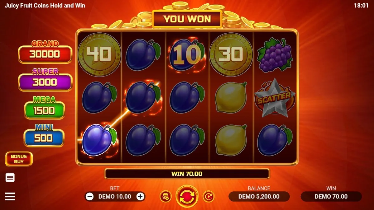 'YOU WON': een winnende pruimen-lijn met gouden muntsymbolen erbovenop (40, 10, 30) levert een WIN van 70,00 op. De scatter-ster staat rechts klaar.
